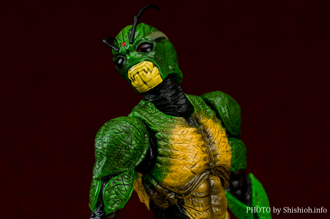 S.H.Figuarts 仮面ライダーシン