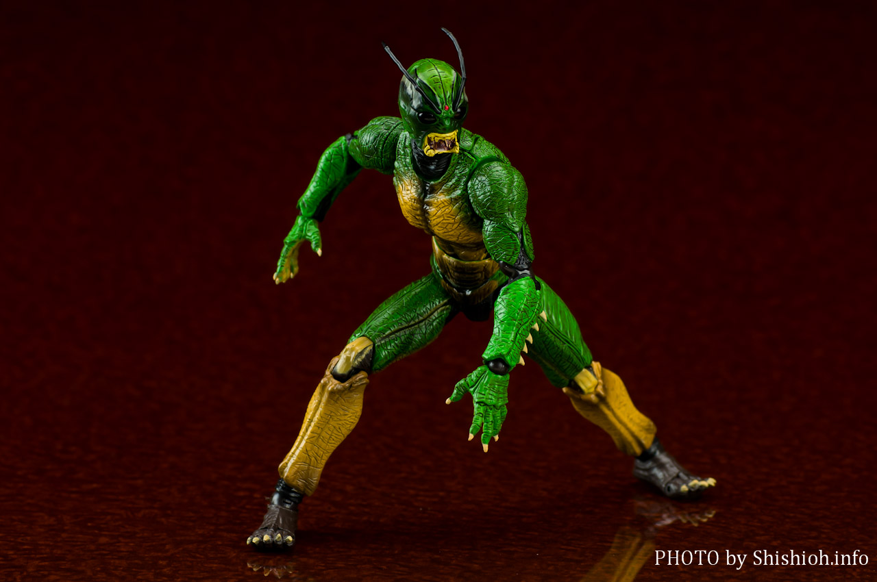 S.H.Figuarts 仮面ライダーシン