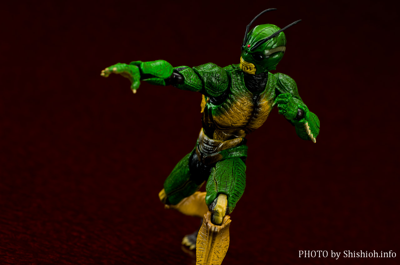 S.H.Figuarts 仮面ライダーシン