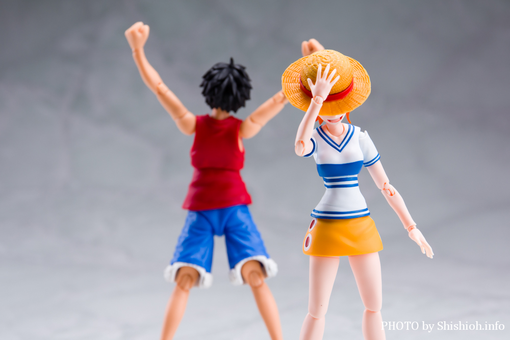 S.H.Figuarts i~ -`̖閾-