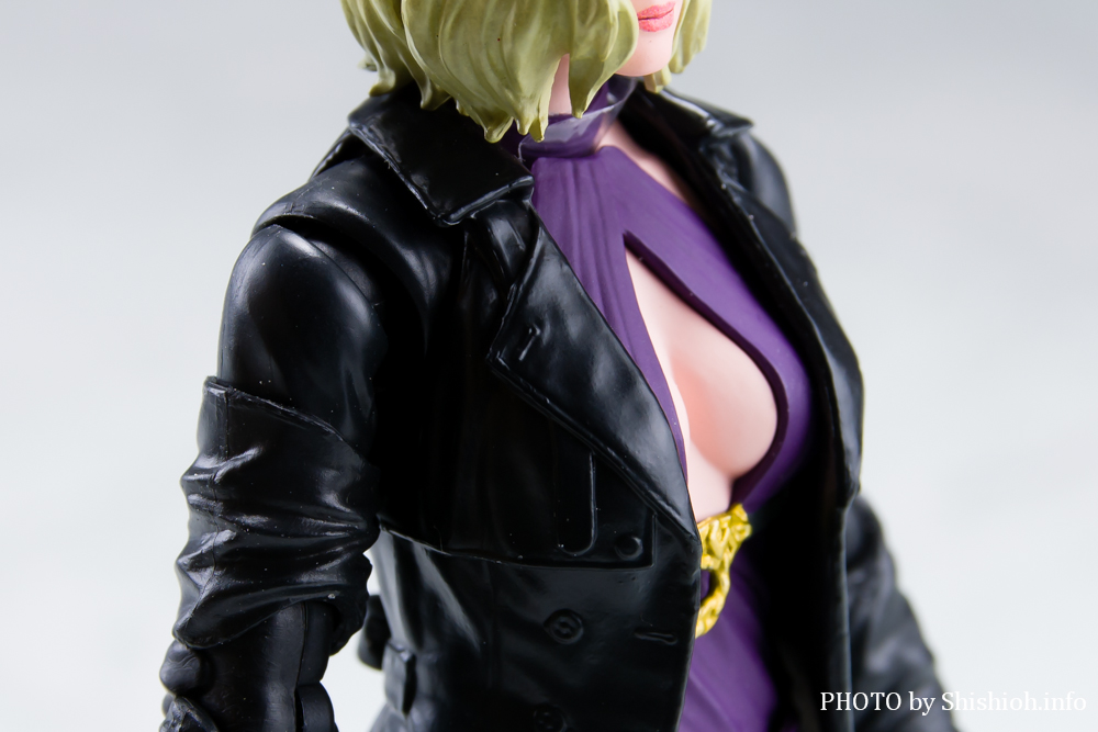 S.H.Figuarts j[iEEBAY