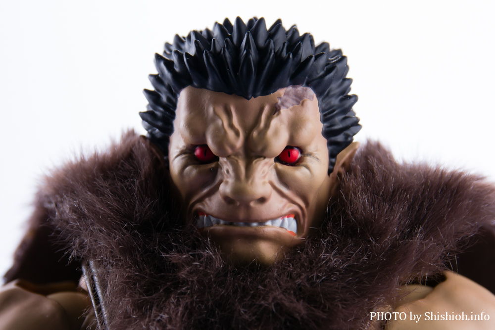 S.H.Figuarts śimXtFgDj]bh
