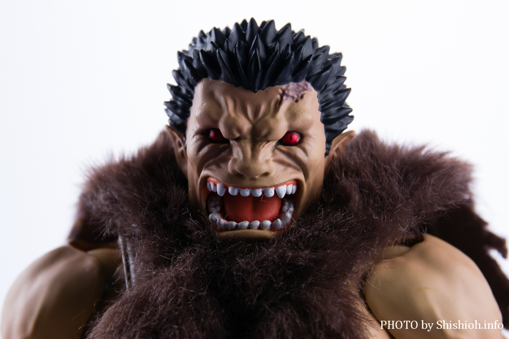 S.H.Figuarts śimXtFgDj]bh