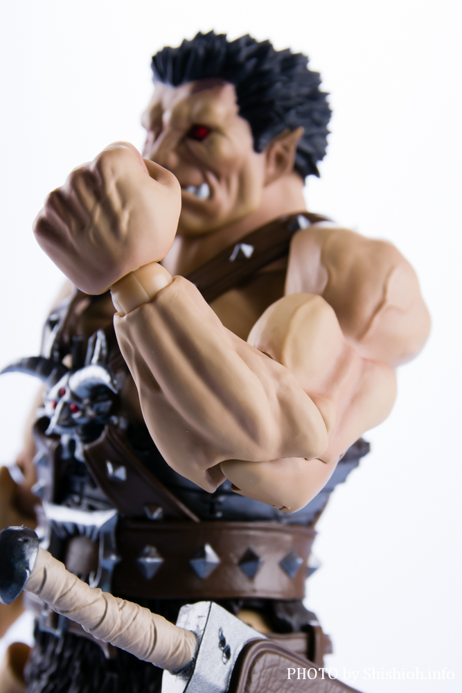 S.H.Figuarts śimXtFgDj]bh
