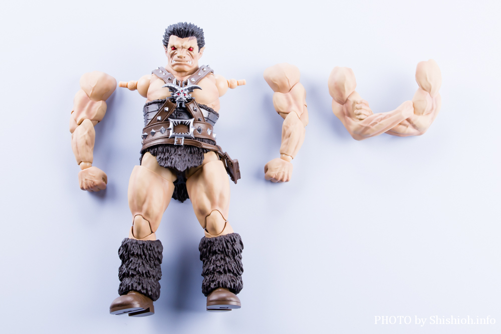 S.H.Figuarts śimXtFgDj]bh