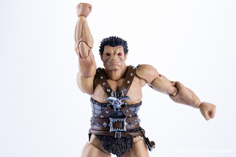 S.H.Figuarts śimXtFgDj]bh