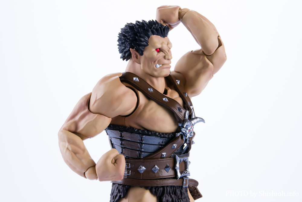S.H.Figuarts śimXtFgDj]bh