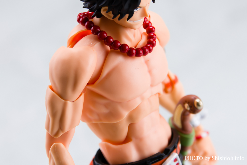 S.H.Figuarts |[gKXEDEG[X -Ό-