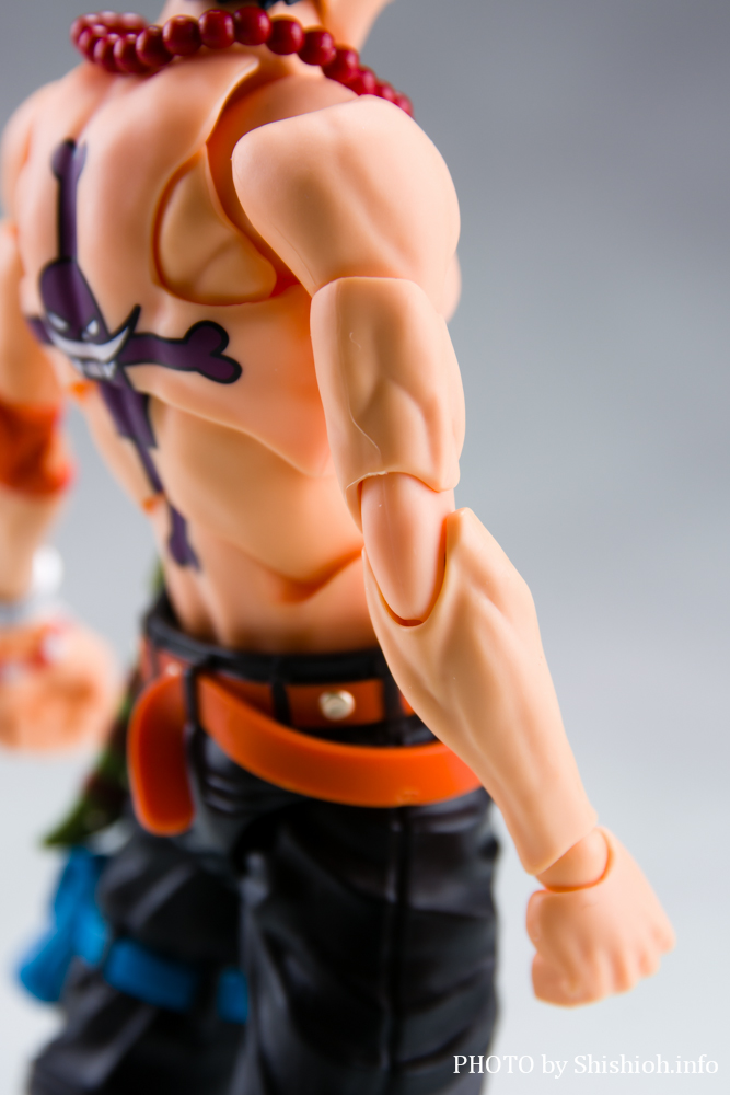 S.H.Figuarts |[gKXEDEG[X -Ό-