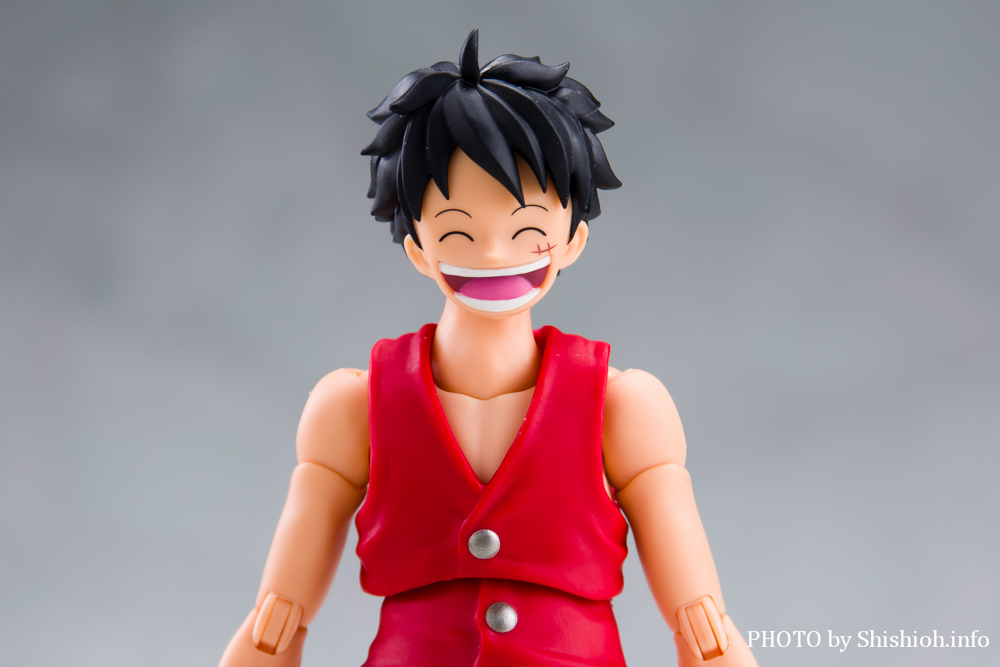 S.H.Figuarts |[gKXEDEG[X -Ό-