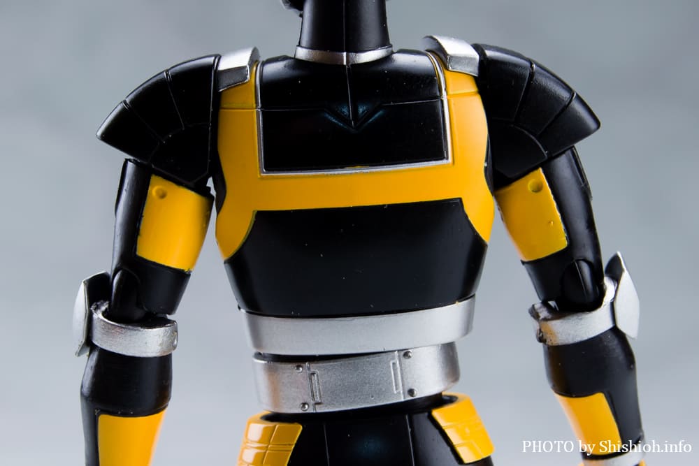 S.H.Figuarts ���{���C�_�[