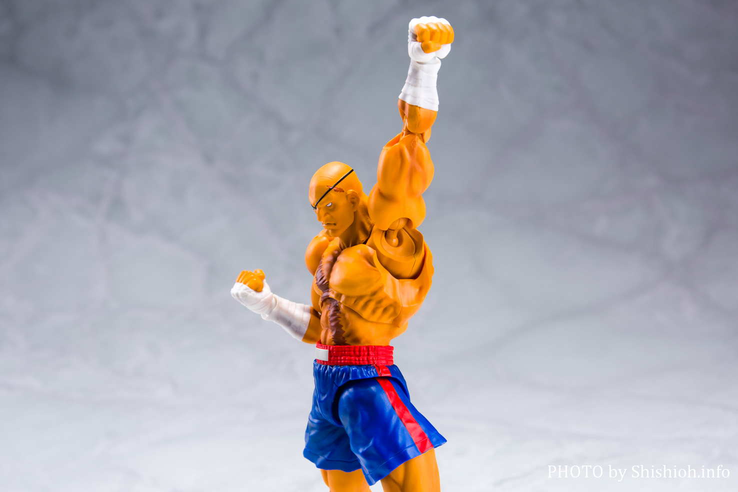 S.H.Figuarts サガット