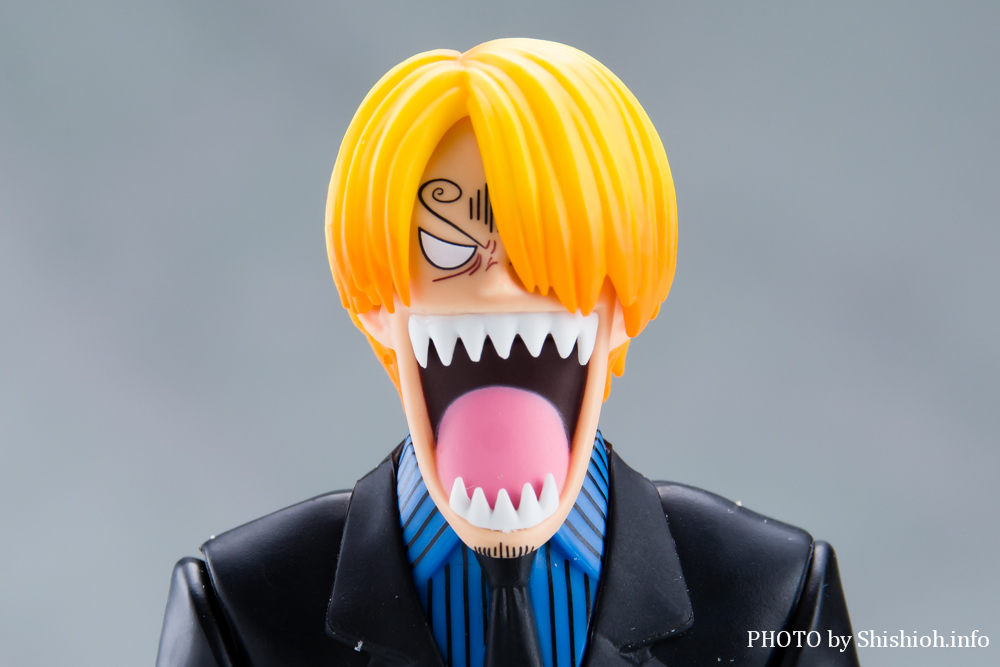 S.H.Figuarts �T���W -�`���̖閾��-