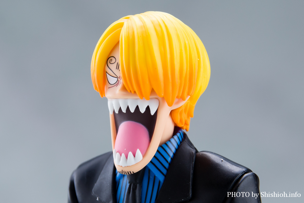 S.H.Figuarts �T���W -�`���̖閾��-