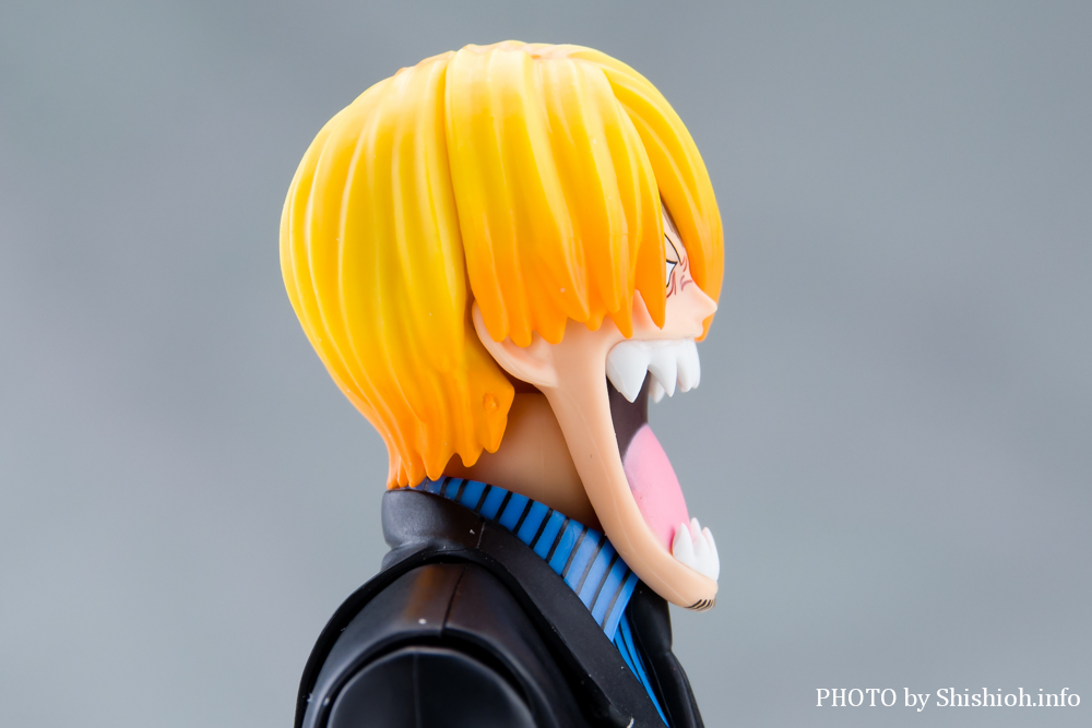 S.H.Figuarts �T���W -�`���̖閾��-