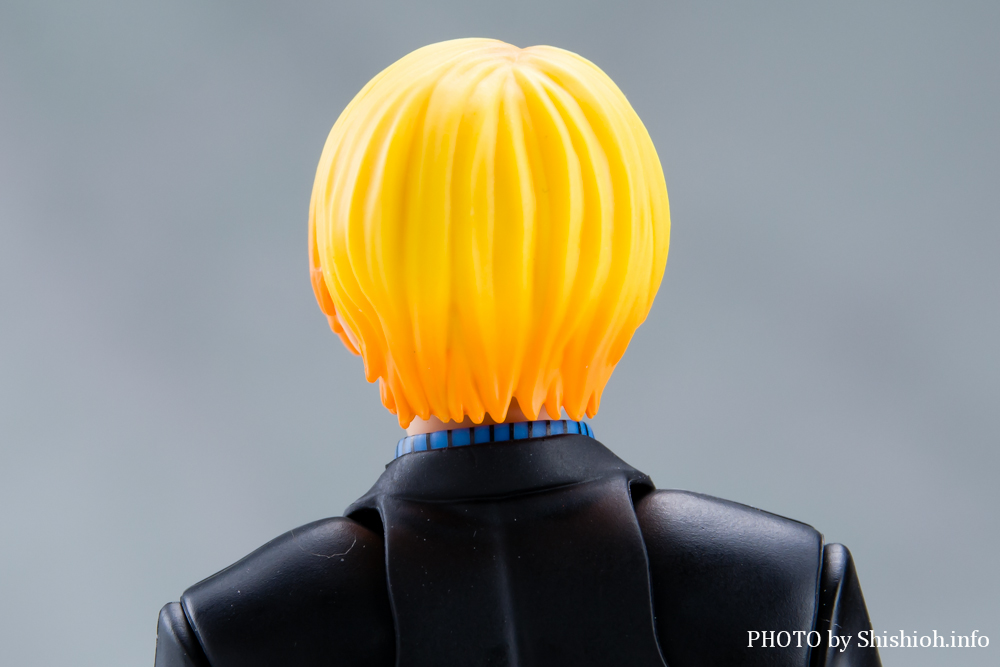 S.H.Figuarts �T���W -�`���̖閾��-