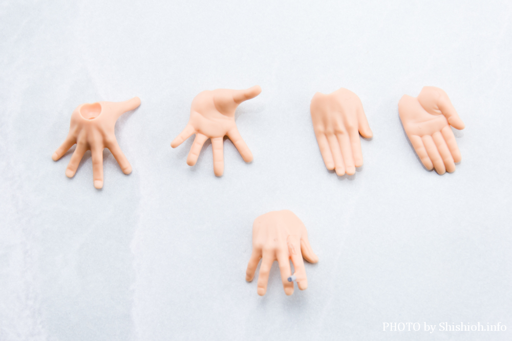 S.H.Figuarts �T���W -�`���̖閾��-