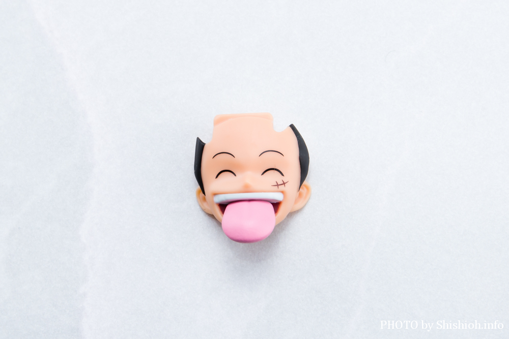 S.H.Figuarts �T���W -�`���̖閾��-