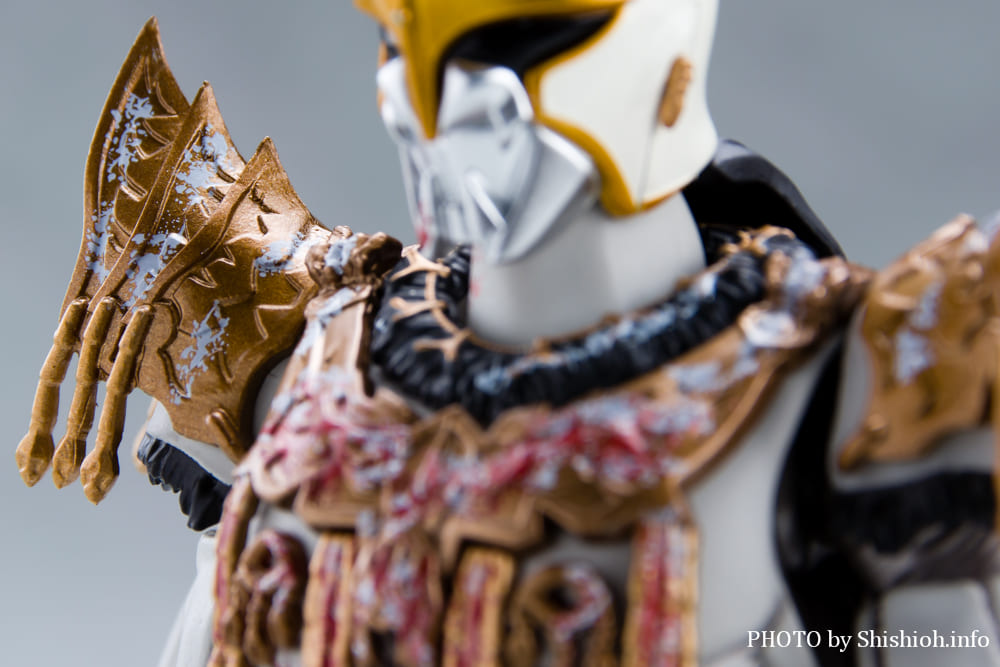 S.H.Figuarts�i�^�������@�j ���ʃ��C�_�[�N�E�K ��Y���x�̎����Z�b�g 2