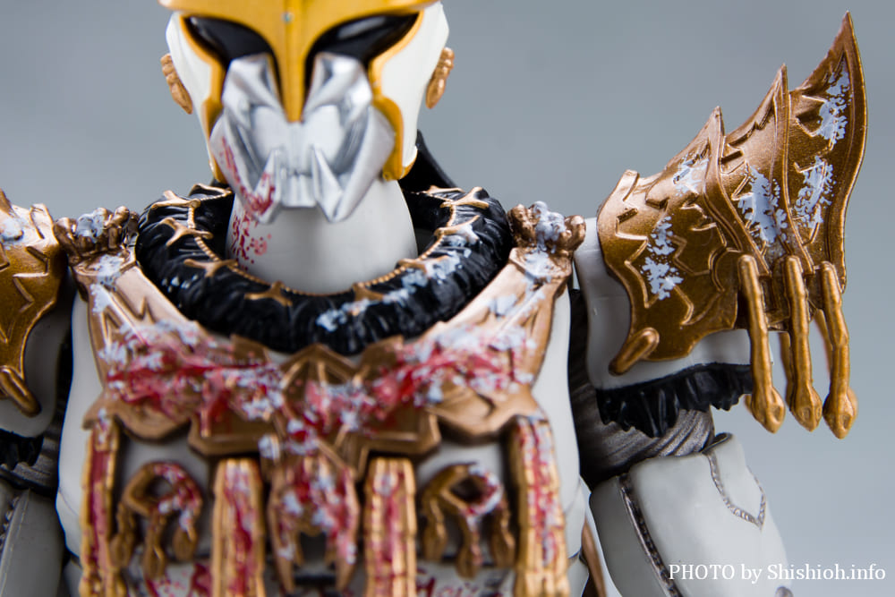 S.H.Figuarts�i�^�������@�j ���ʃ��C�_�[�N�E�K ��Y���x�̎����Z�b�g 2