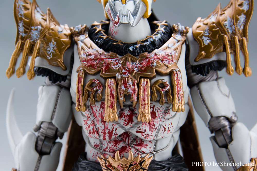 S.H.Figuarts�i�^�������@�j ���ʃ��C�_�[�N�E�K ��Y���x�̎����Z�b�g 2
