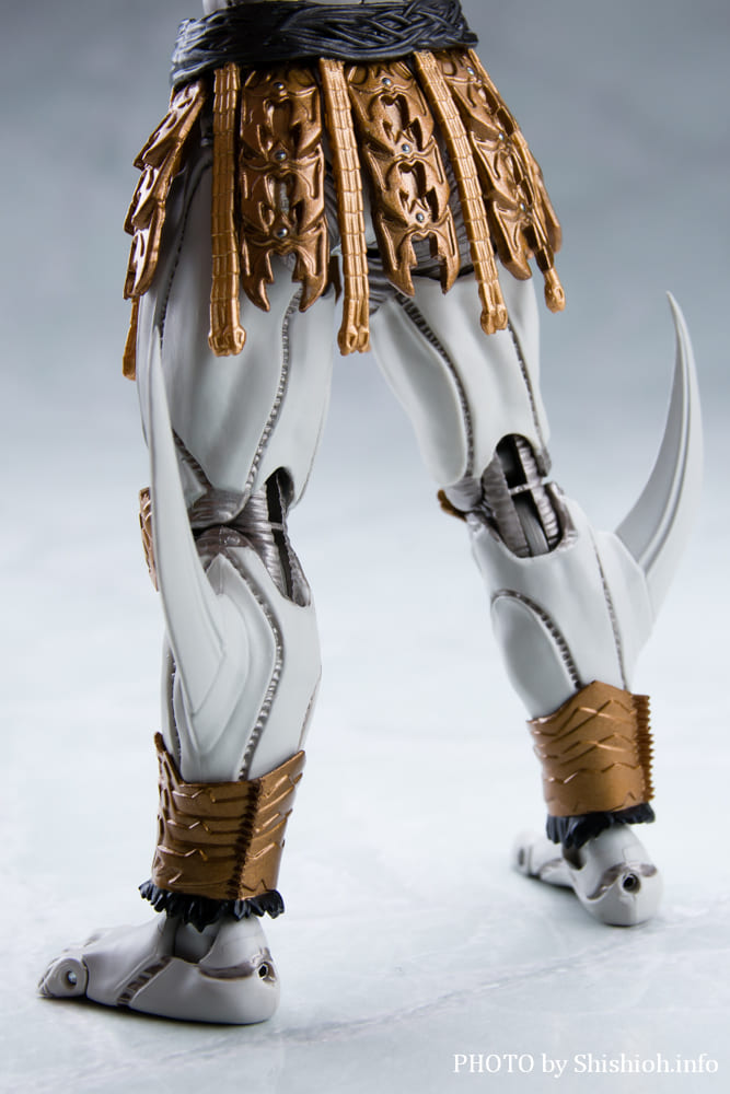 S.H.Figuarts�i�^�������@�j ���ʃ��C�_�[�N�E�K ��Y���x�̎����Z�b�g 2