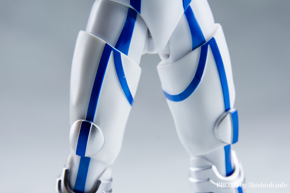 S.H.Figuarts�i�^�������@�j ���ʃ��C�_�[�T�C�K