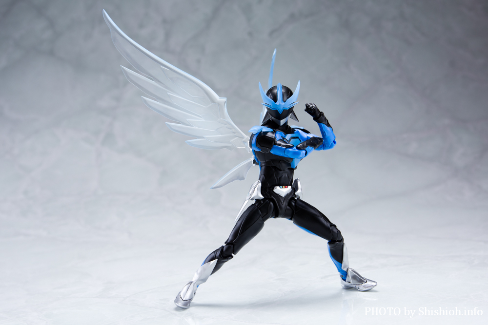 S.H.Figuartsi^@j ECO}