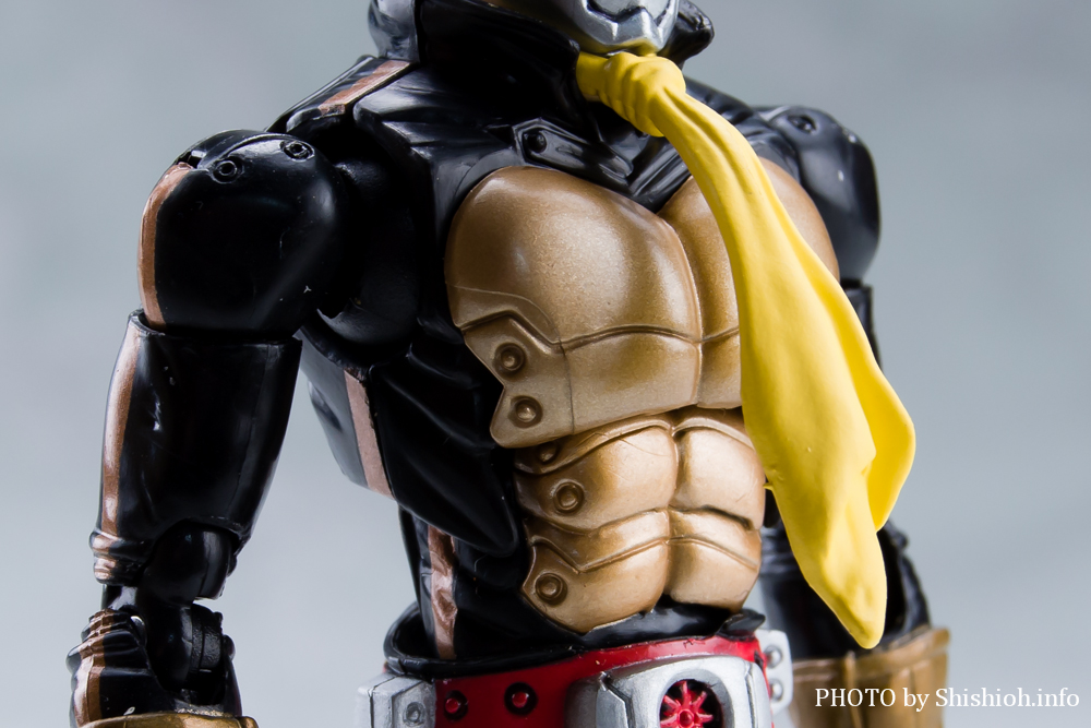 S.H.Figuart ショッカーライダー「THE NEXT」