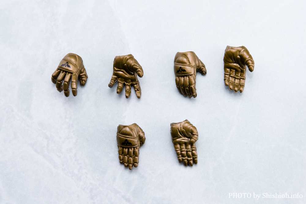 S.H.Figuart ショッカーライダー「THE NEXT」