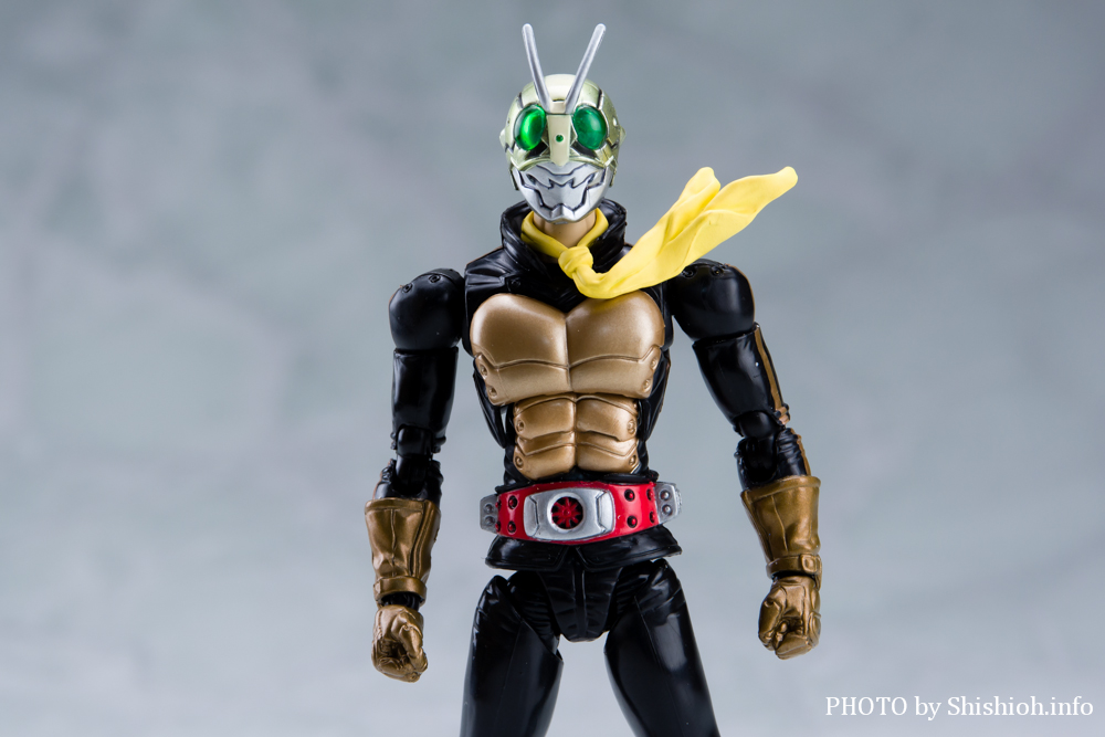 S.H.Figuart ショッカーライダー「THE NEXT」