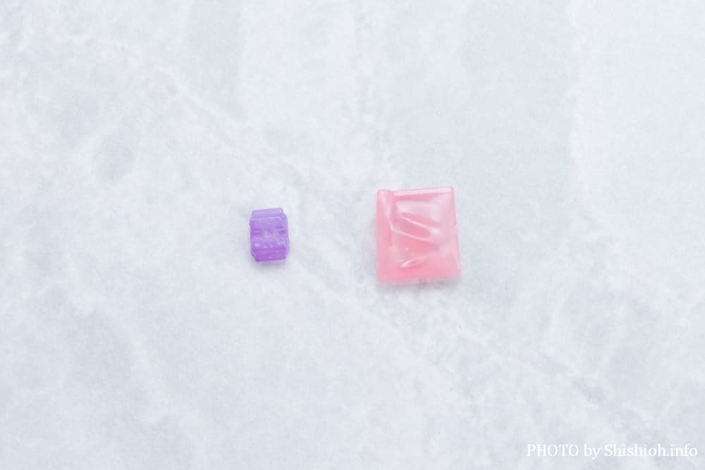 S.H.Figuarts ショウマ