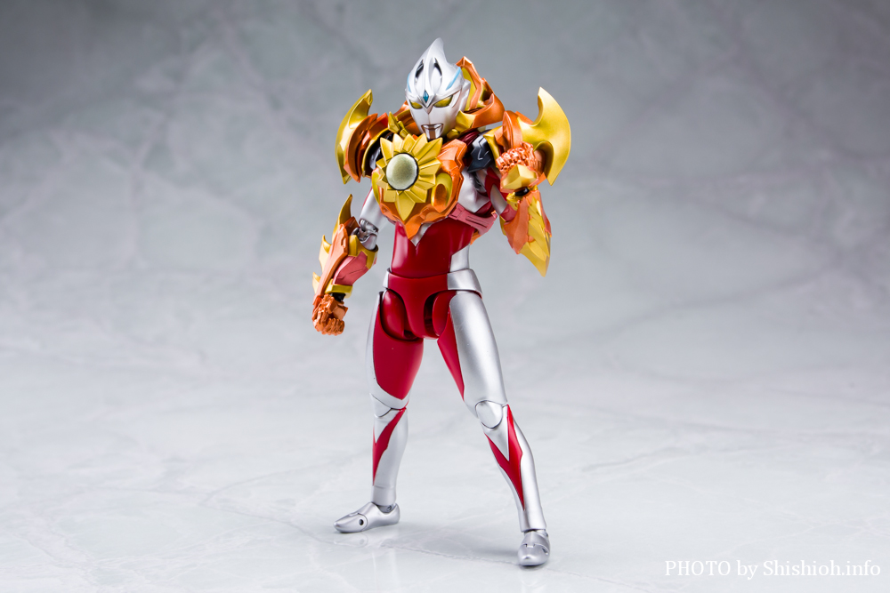 S.H.Figuarts \XA[}[