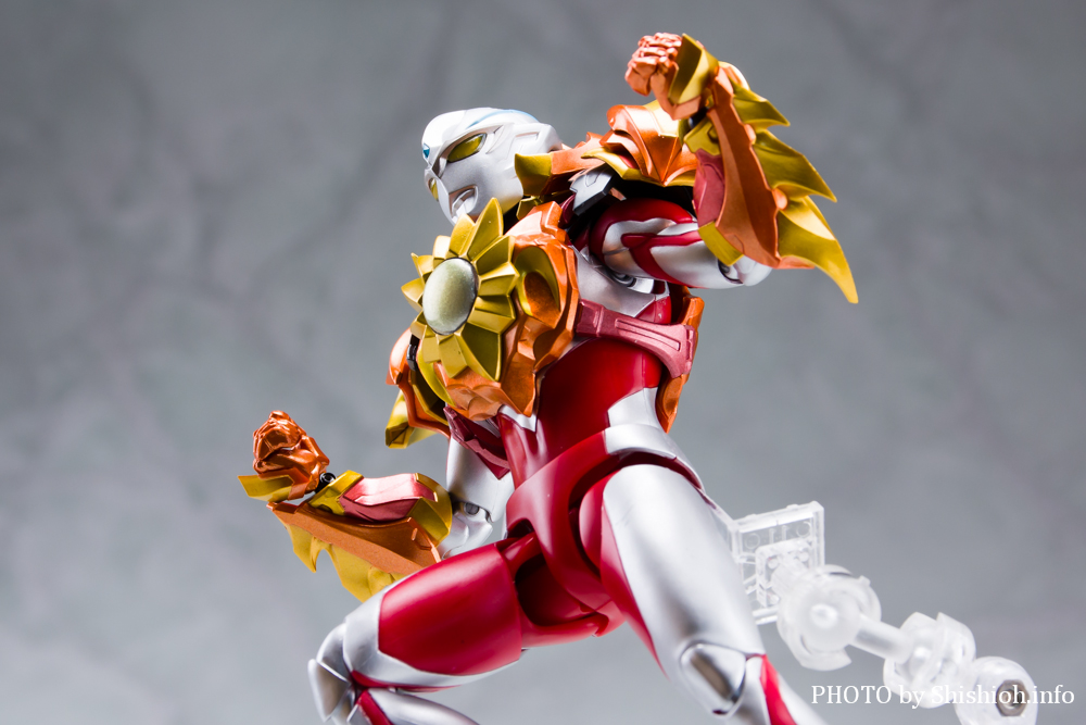 S.H.Figuarts \XA[}[