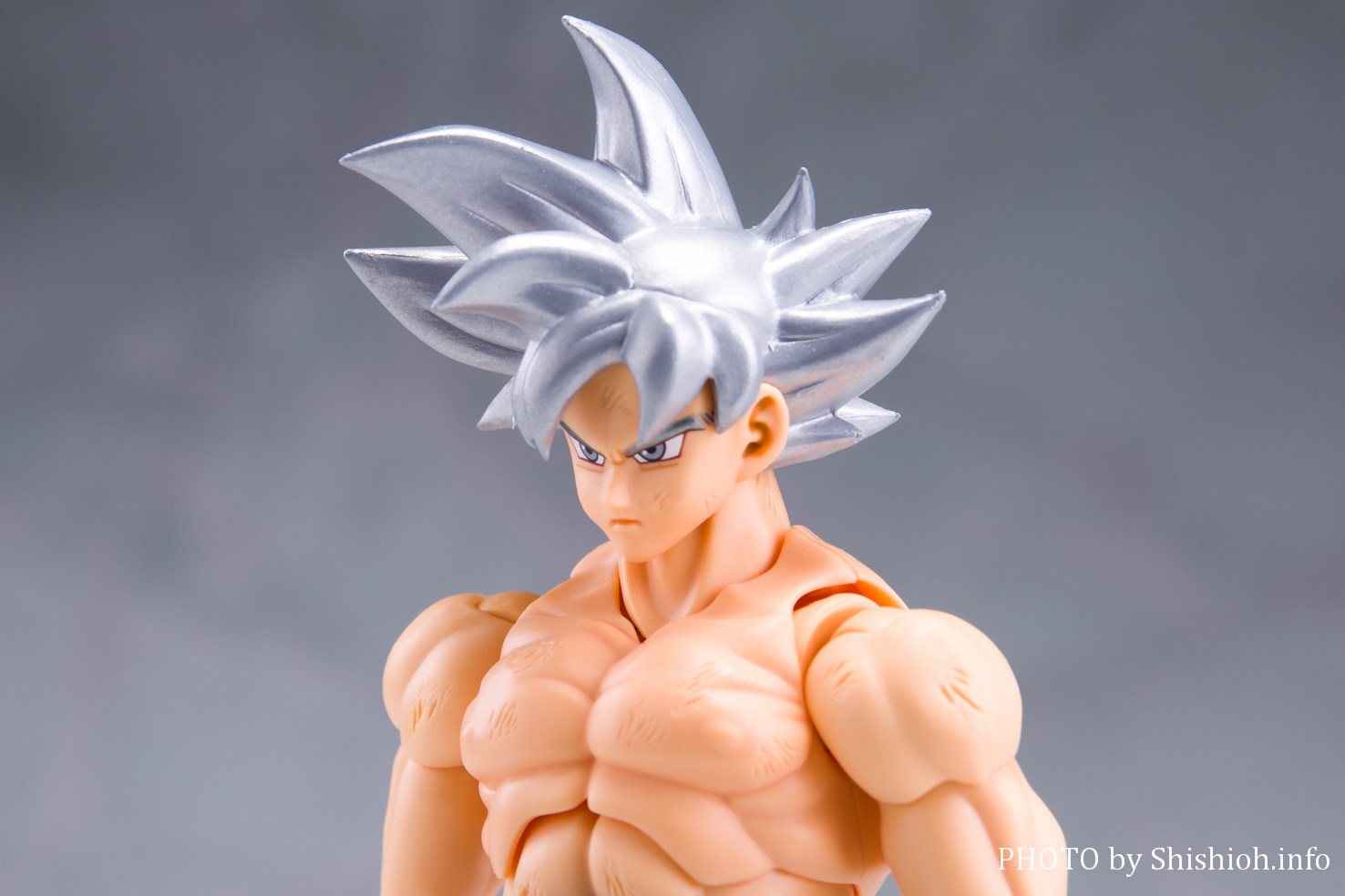 限定20％OFFS.H.Figuarts ドラゴンボール 身勝手の極意 +α フィギュアーツ アニメ/ゲーム