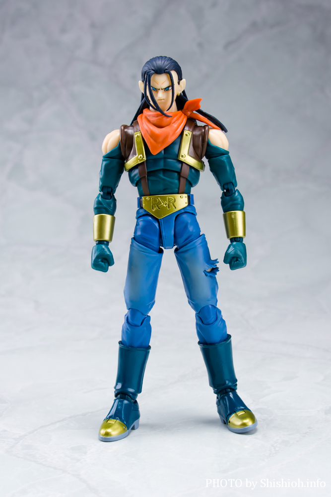 S.H.Figuarts 17