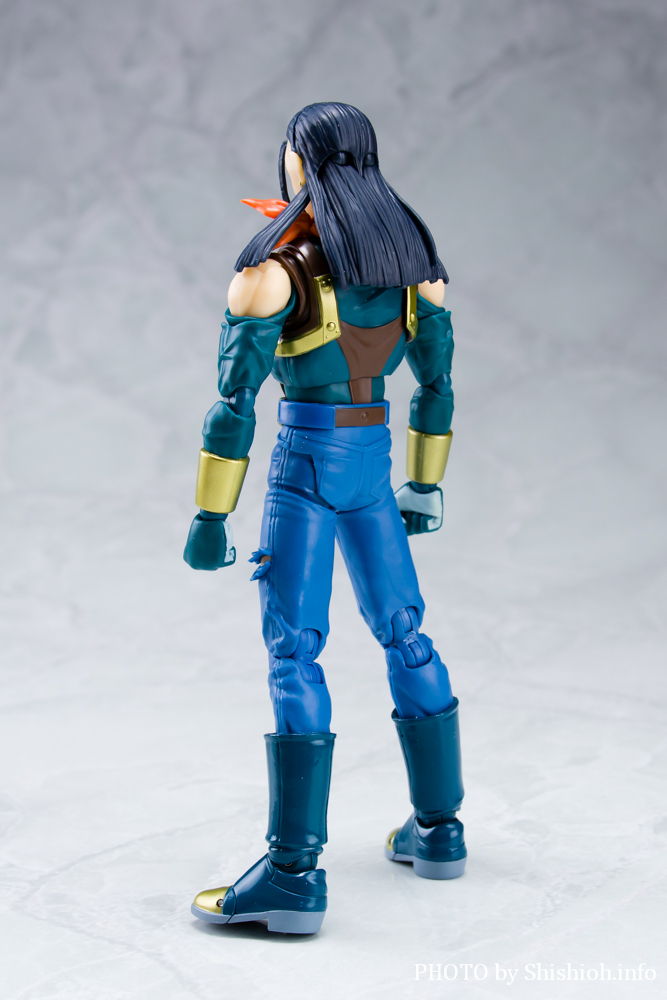 S.H.Figuarts 17