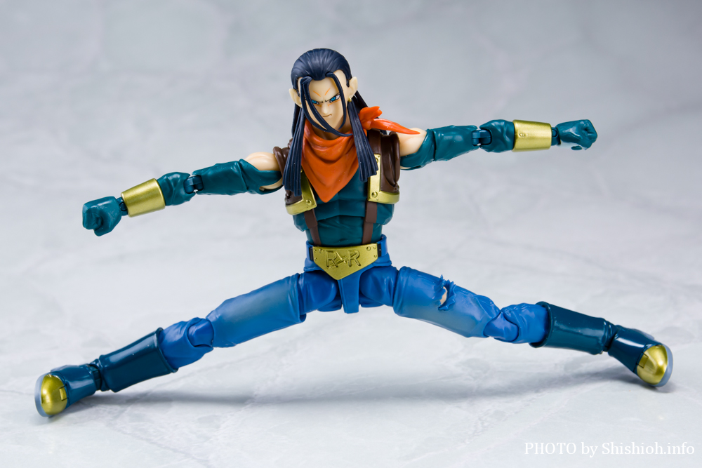 S.H.Figuarts 17