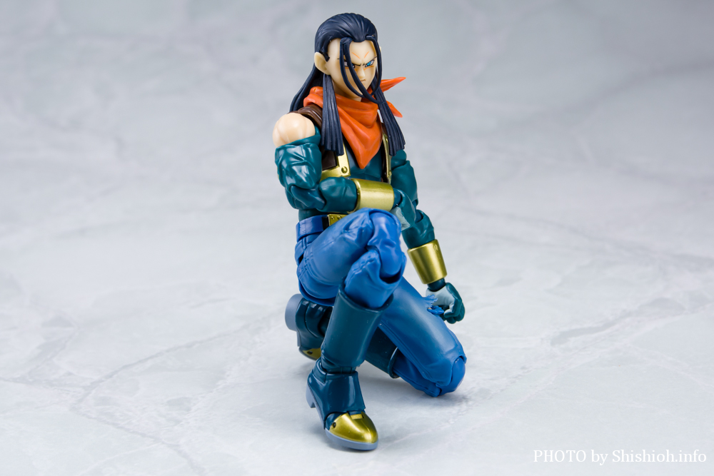 S.H.Figuarts 17