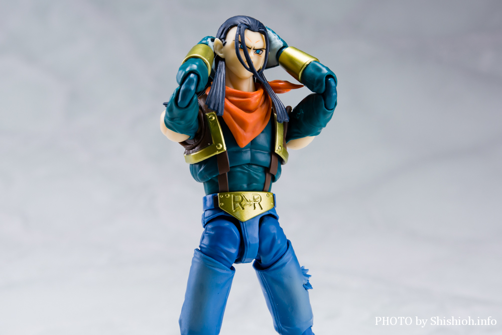 S.H.Figuarts 17