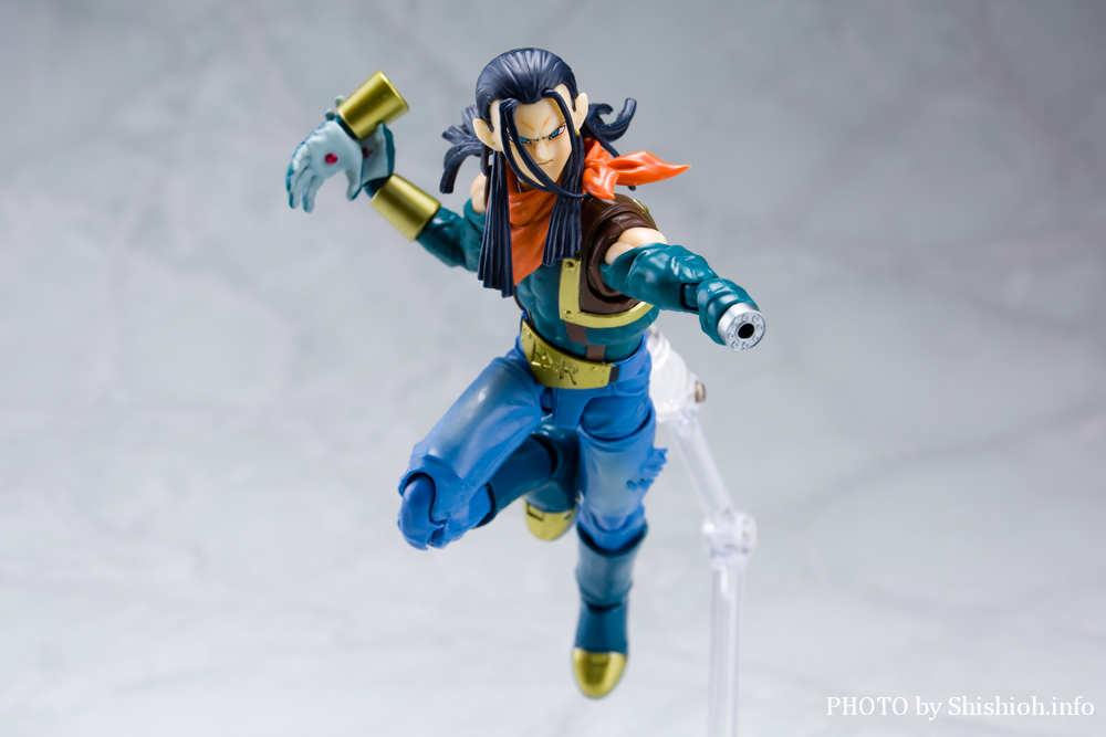 S.H.Figuarts 17