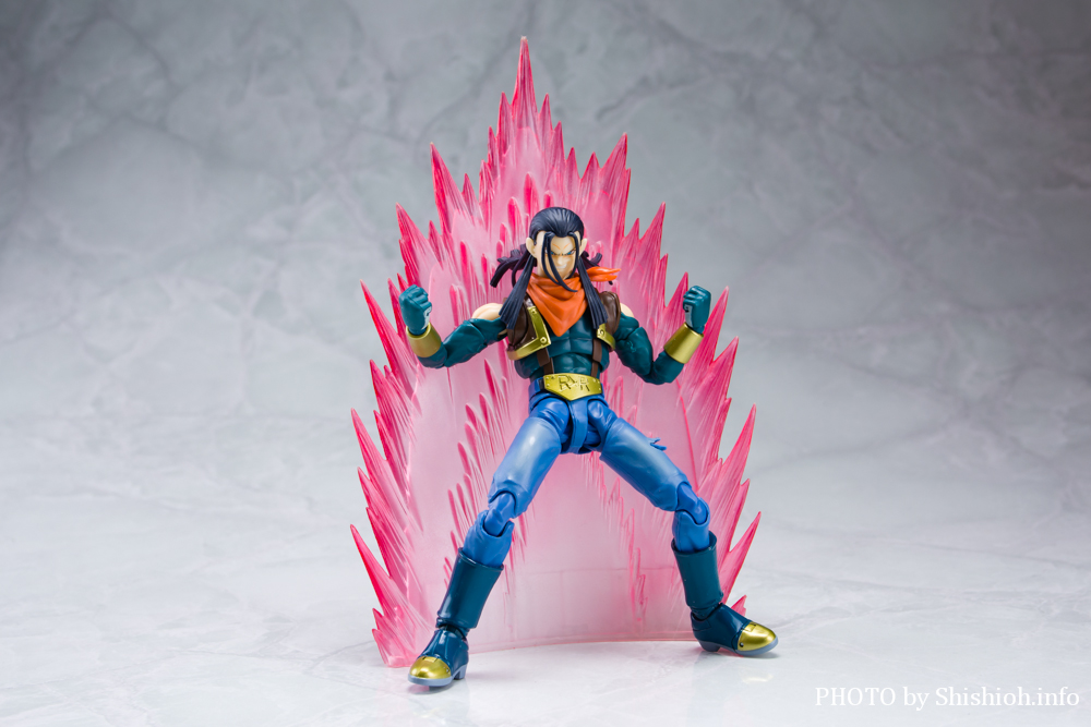 S.H.Figuarts 17