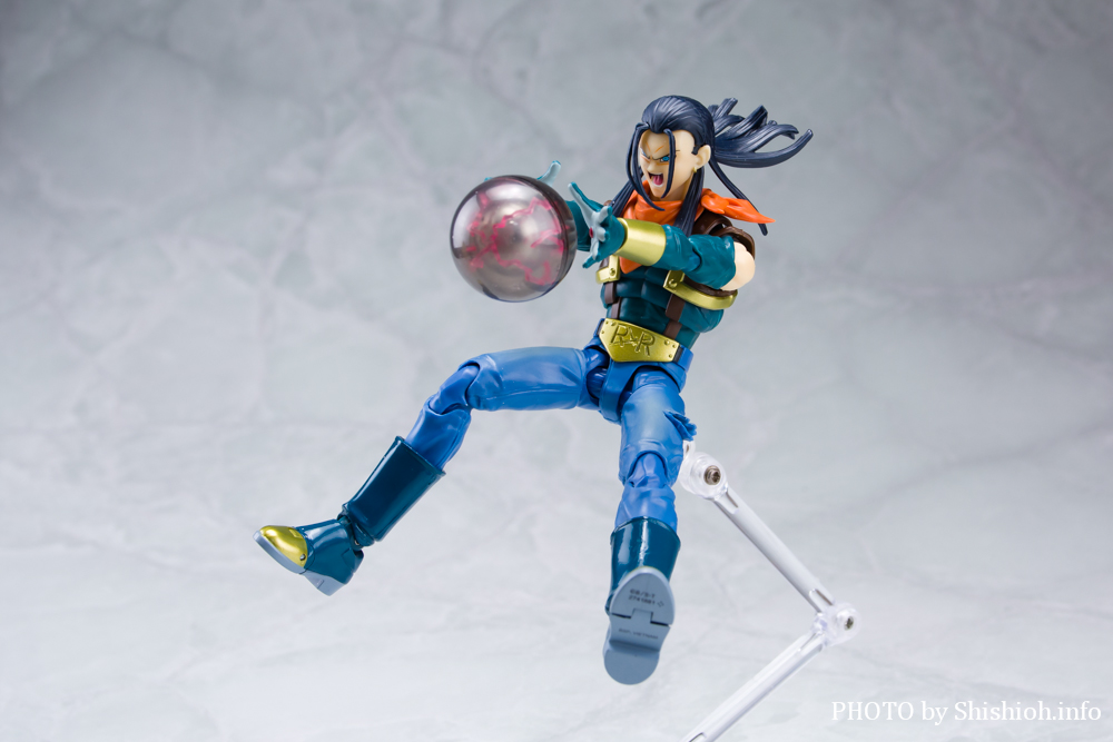 S.H.Figuarts 17