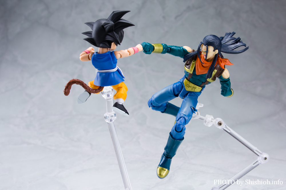 S.H.Figuarts 17