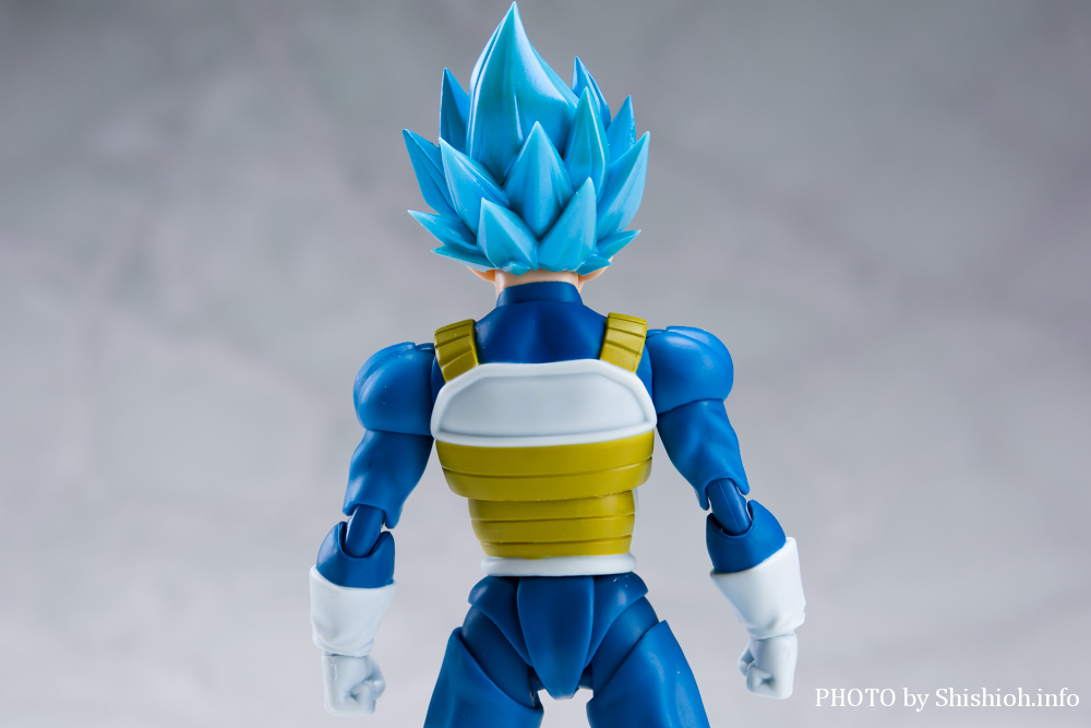 S.H.Figuarts X[p[TClSbhX[p[TClxW[^-тʂTCľւ-