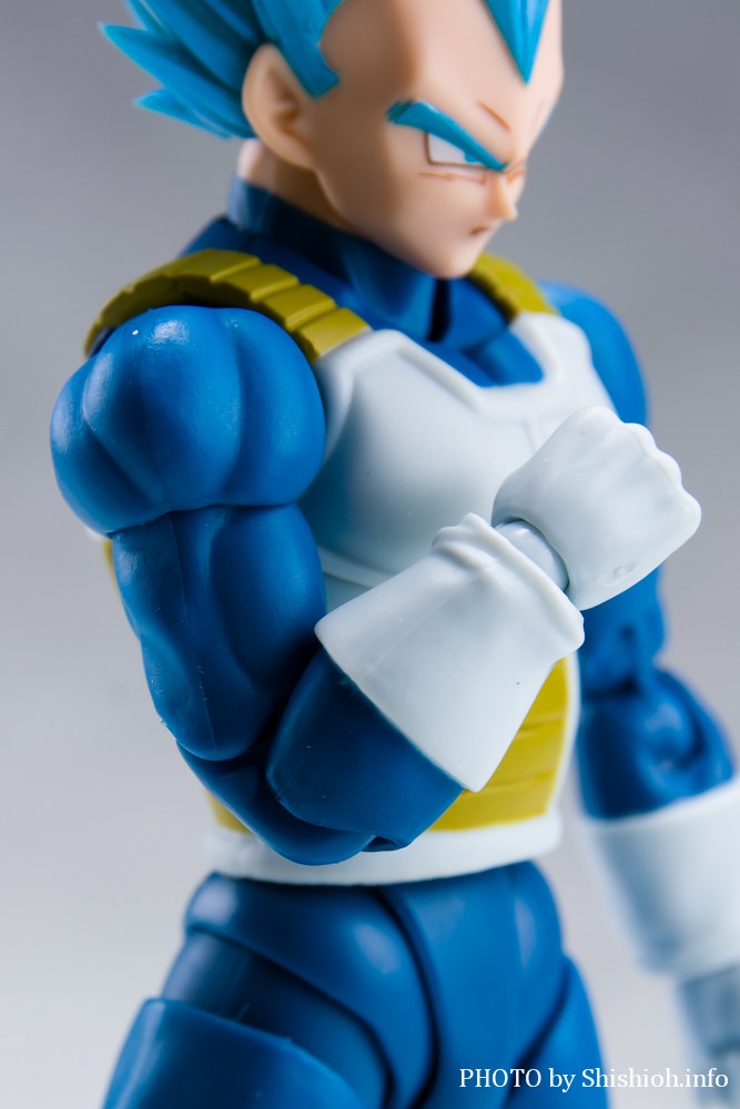 S.H.Figuarts X[p[TClSbhX[p[TClxW[^-тʂTCľւ-