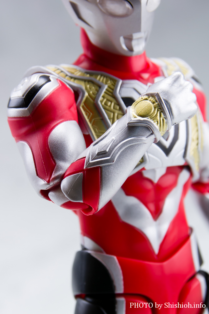 S.H.Figuarts Eg}gK[ p[^Cv