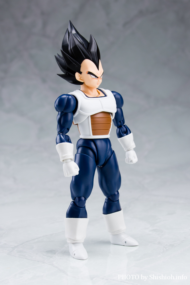 S.H.Figuarts xW[^-퓬-