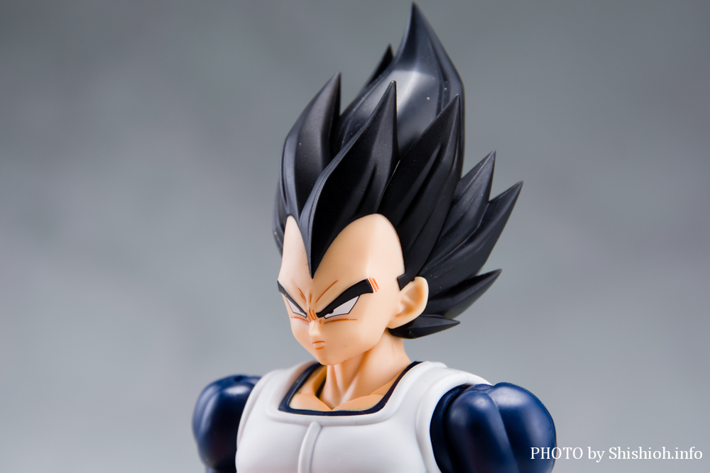 S.H.Figuarts xW[^-퓬-