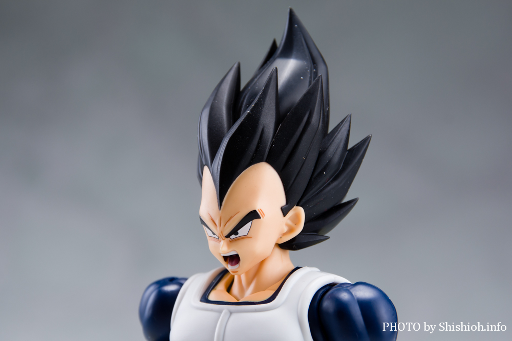 S.H.Figuarts xW[^-퓬-